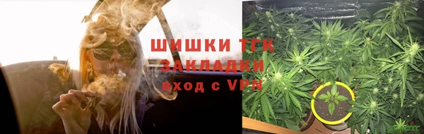 крисы Новозыбков