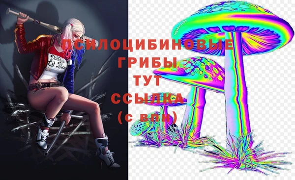 синтетический гашиш Гусев