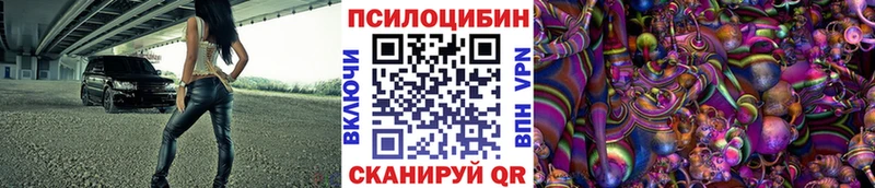 мега вход Новохопёрск Псилоцибиновые грибы Cubensis